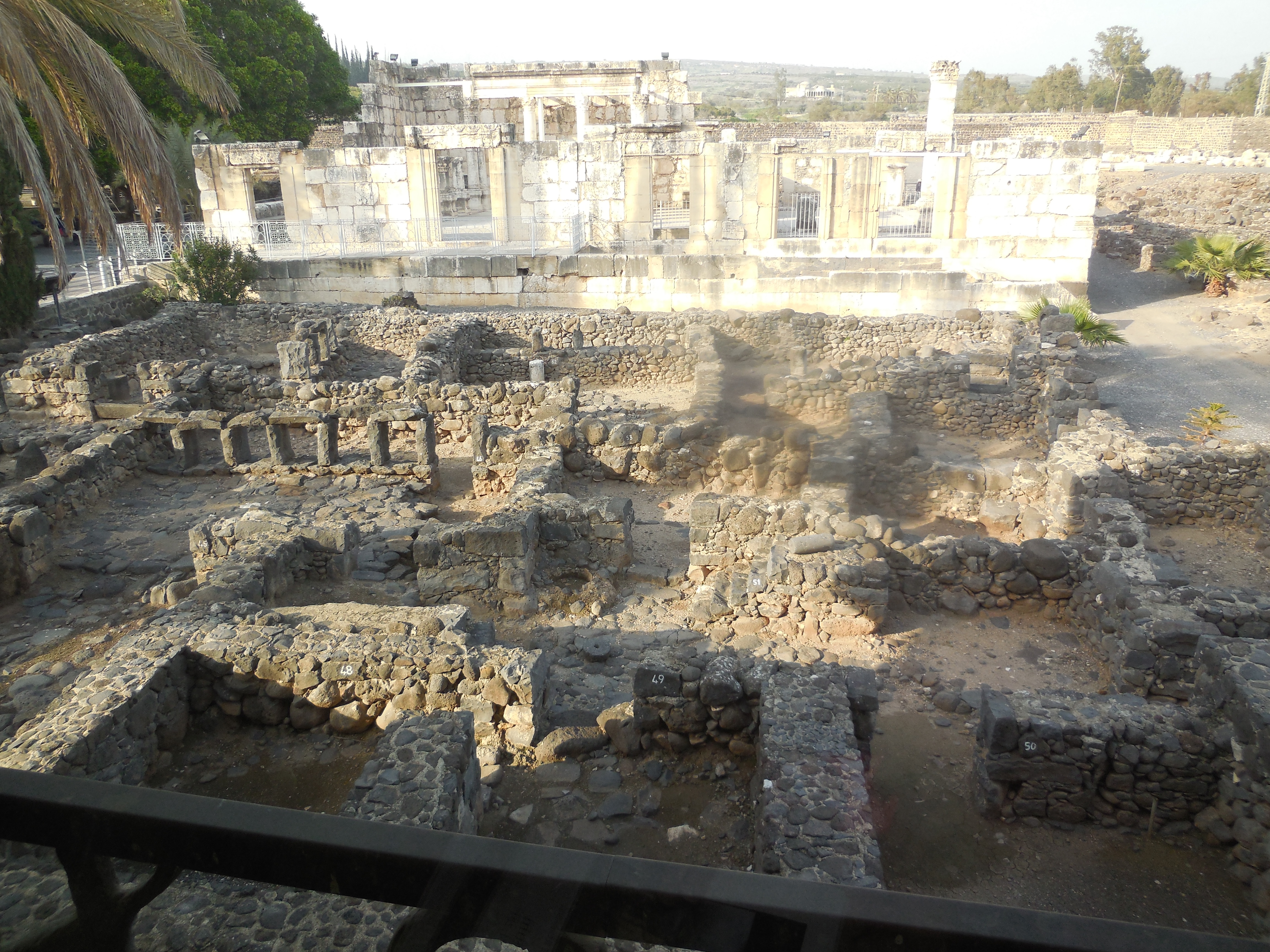 Capernaum - Many Rooms
